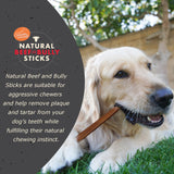 Canine Naturals Bully Chewers - Medium Sticks 4 ct.