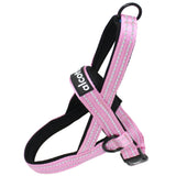 Alcott Norwegian Harness