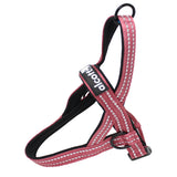 Alcott Norwegian Harness