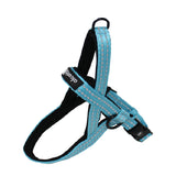 Alcott Norwegian Harness