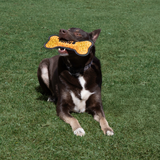 KONG Armor Bone Assorted Md