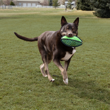 KONG Armor Football Assorted Md