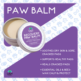 Calm Paws Recovery Healing & Calming Paw Balm