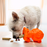 KONG Rewards Zoolooz Lion Md