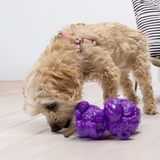 KONG Rewards Zoolooz Monkey Md