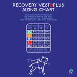 Calm Paws Recovery Vest Plus w Detachable Collar