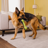 KONG Reflex Squeak Bone Md/Lg