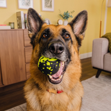 KONG Reflex Squeak Ball Md/Lg
