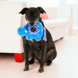 KONG Ringaroos Elephant Md