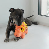 KONG Ringaroos Pig Md