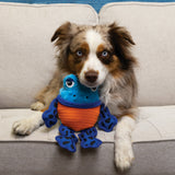Tropics Rattlez Frog Md/Lg#