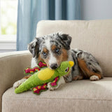 Tropics Rattlez Iguana Md/Lg#