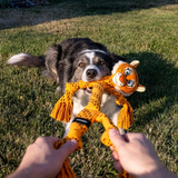 KONG Scrubz Safari Tiger Md