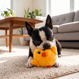 KONG Snuzzles Kiddos Chick Sm