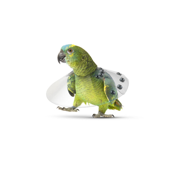 KVP SAF-T-SHIELD™, E-Collars for Birds & Rodents – Gralen Company