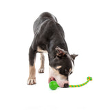 GURU Single Squeaking Rope