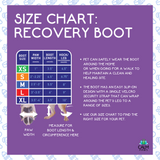 Calm Paws Recovery Boot (XS-XL)