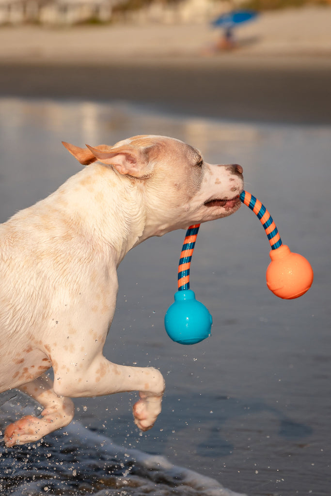 GURU Squeaking Rope – Gralen Company