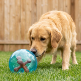 KONG Jumbler™ Jack Ball Assorted Md/Lg