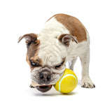 GURU Tennis Treat Ball