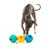 GURU Treat Station (LG)