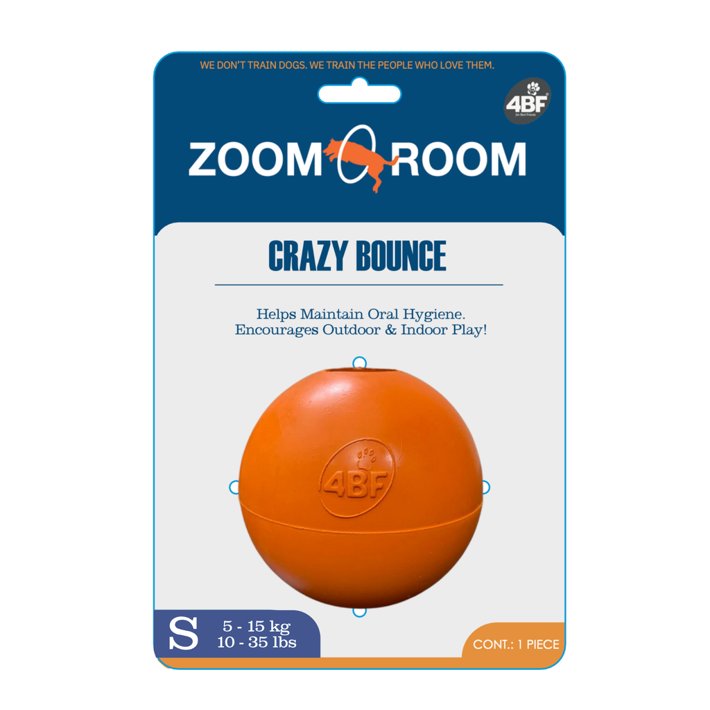 Zoom Room Crazy Bounce Ball – Gralen Company