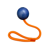 Zoom Room Crazy Bounce Ball Rope