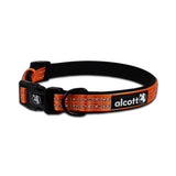 Alcott Adventure Collars - Neon Orange