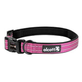 Alcott Adventure Collars - Pink