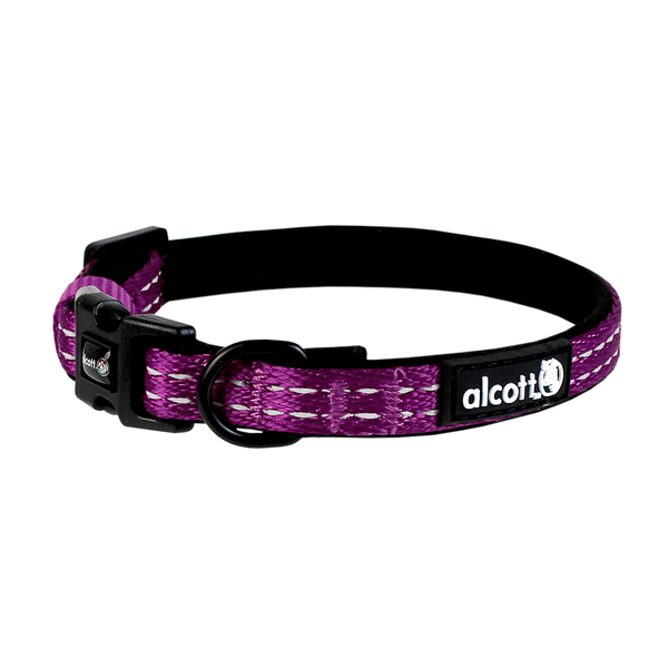 Alcott Adventure Collars - Purple