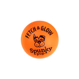 Spunky Pup Fetch & Glow Ball