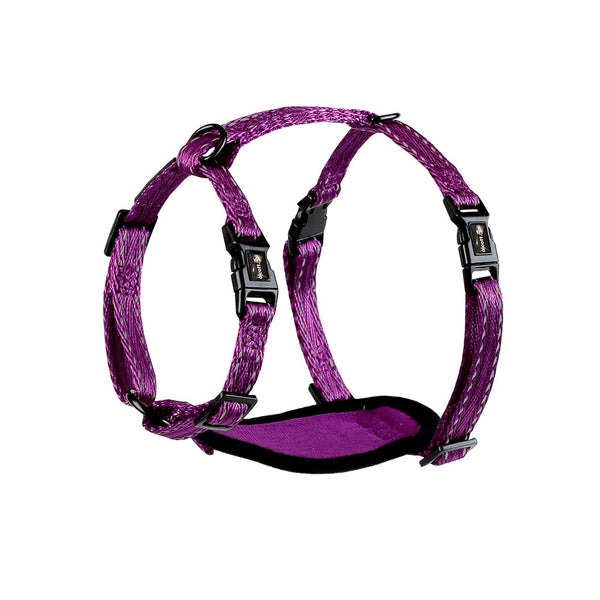 Alcott Adventure Harness - Purple