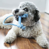 KONG Puppy Goodie Bone™ with Rope