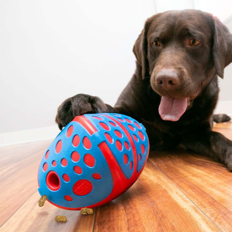 KONG Rewards Ball Dog Toy 