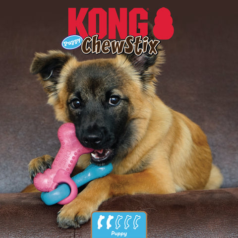 KONG Puppy Dog Toy - Medium
