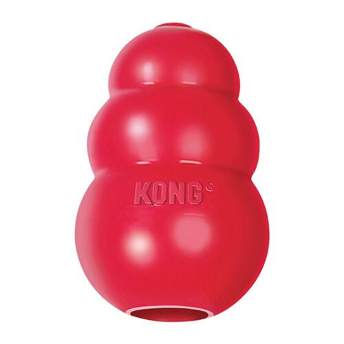 Kong - Shieldz Tropics Dog Toy Frog